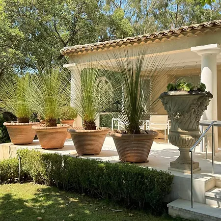 Au Milieu Des Vignes