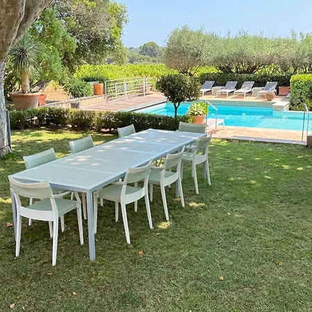 Au Milieu Des Vignes