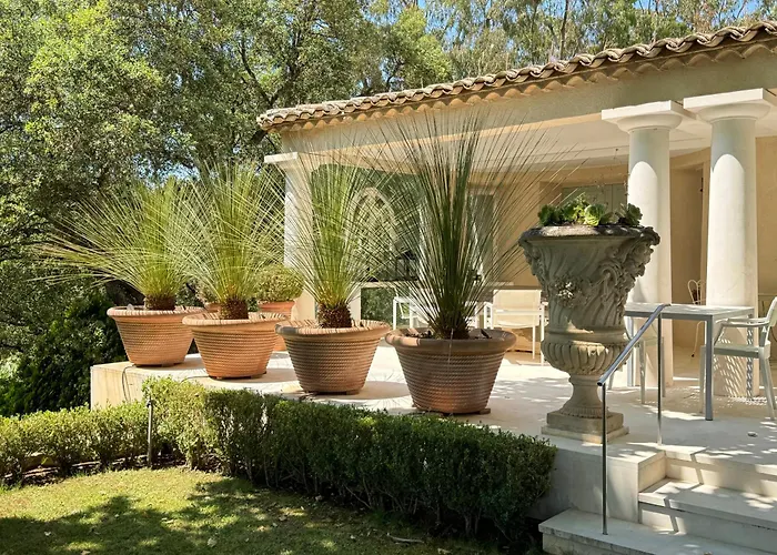 Au Milieu Des Vignes