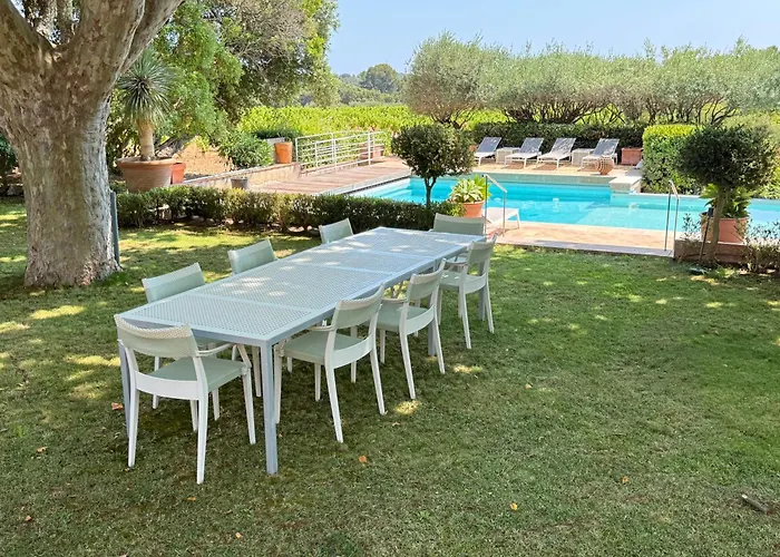 Au Milieu Des Vignes